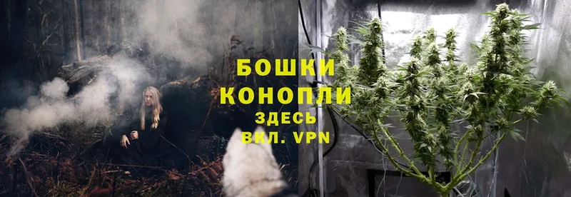 Конопля Bruce Banner  мориарти официальный сайт  Приволжск 